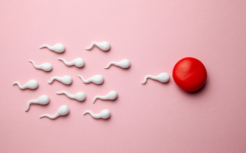 ¿Cómo mejorar la calidad del esperma? Consejos para una mejor calidad seminal