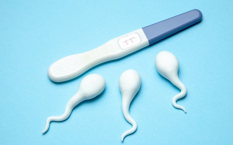 Morfología de los espermatozoides pobres: ¿Qué tratamientos existen?